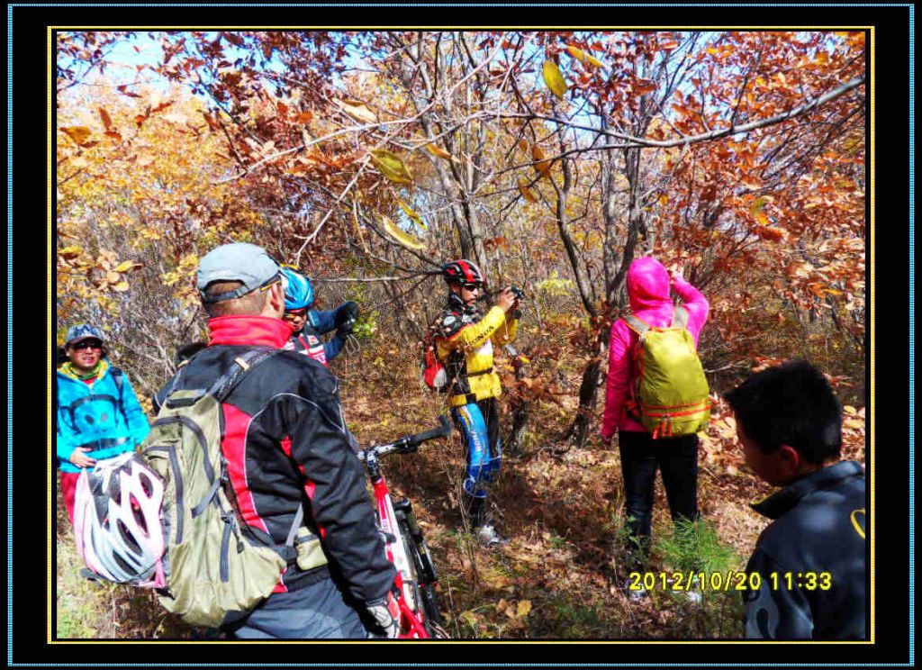 SDC13144.jpg