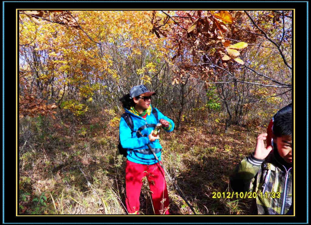 SDC13148.jpg