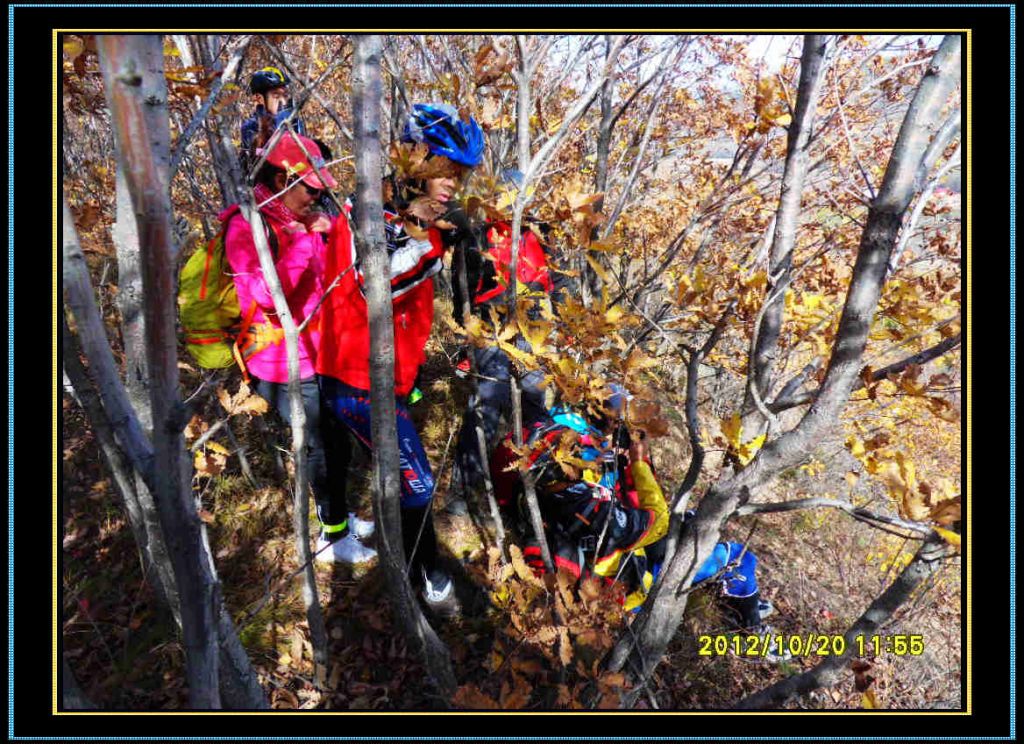 SDC13223.jpg