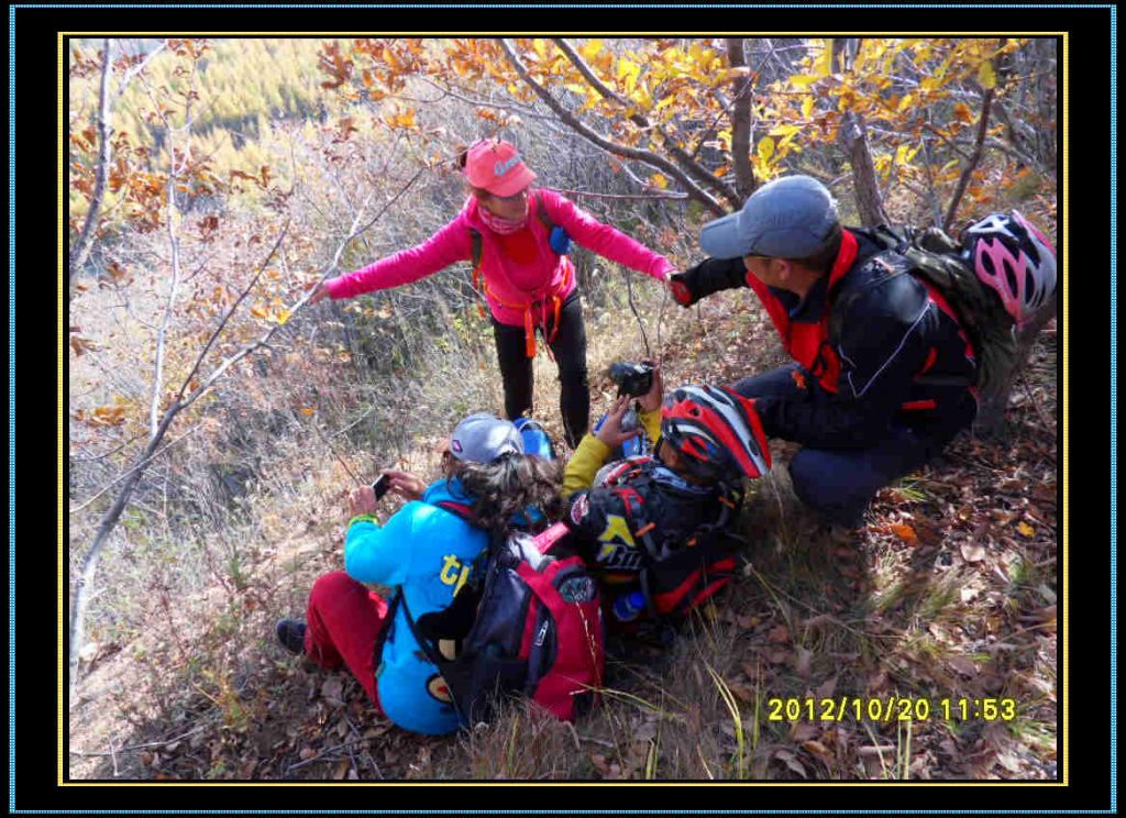 SDC13216.jpg