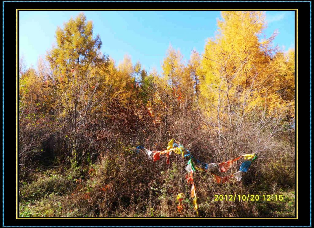 SDC13256.jpg