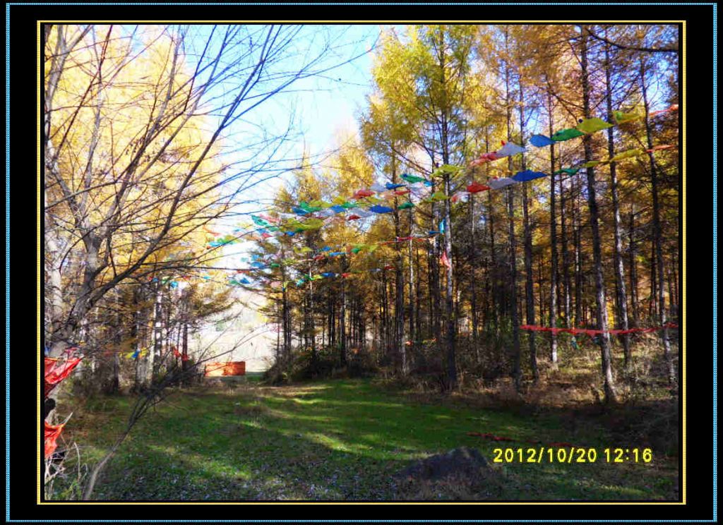 SDC13259.jpg