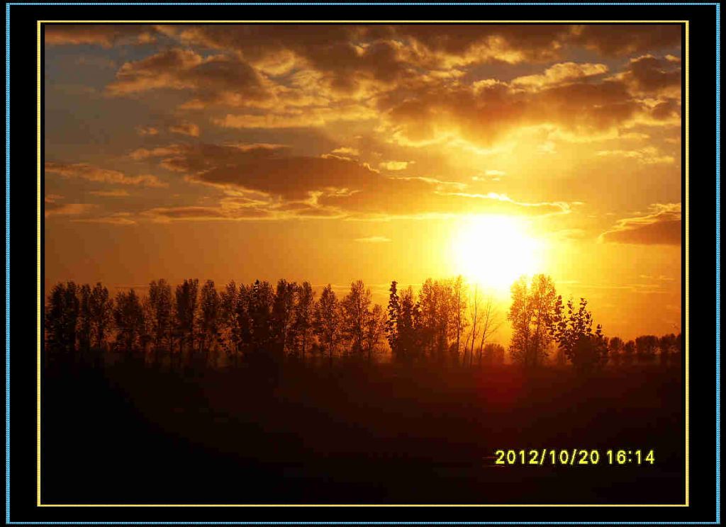 SDC13373.jpg