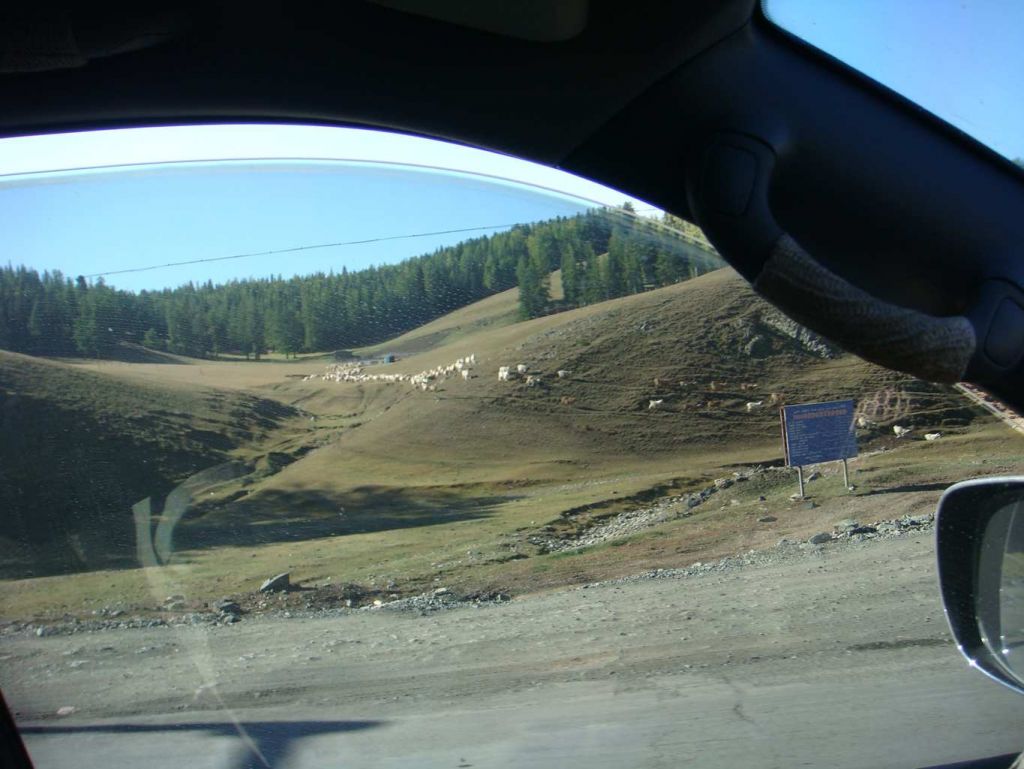 ɽ���ļ�������ִ���ɽ�ط�������Ⱥ