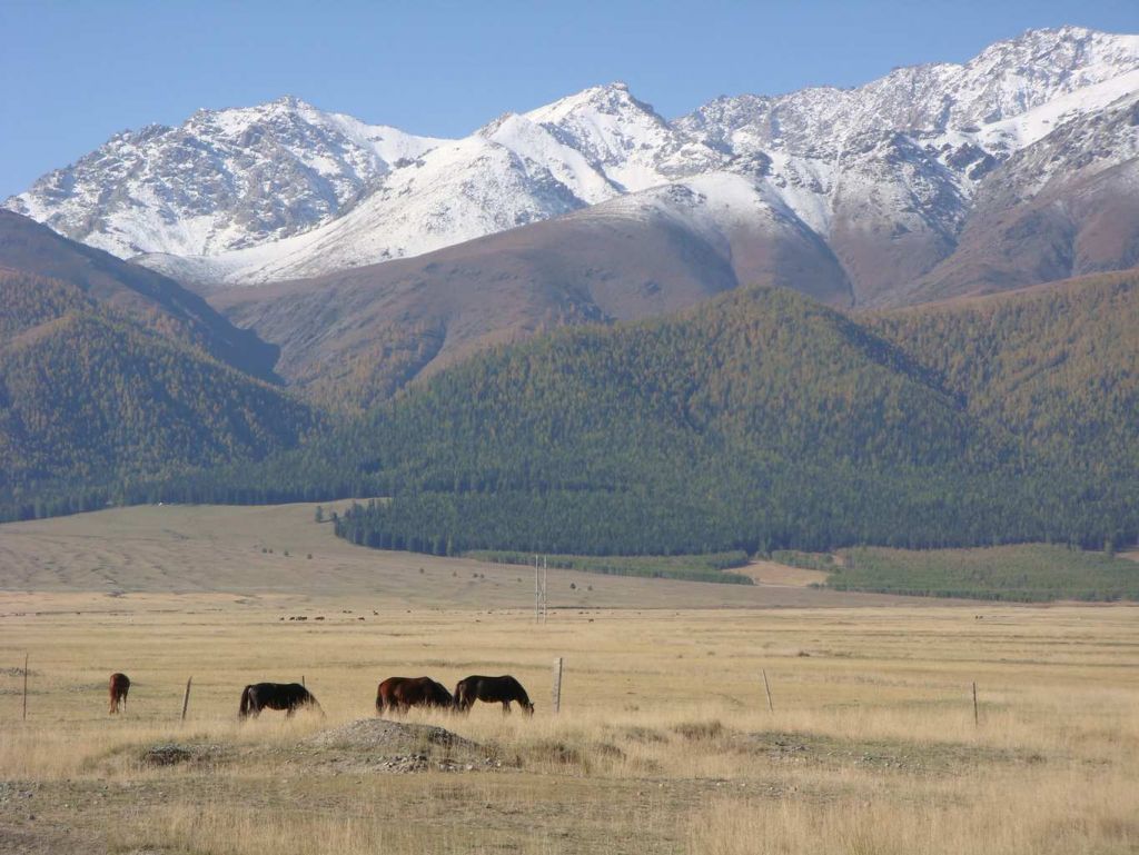 ɽ�����겻���Ļ�ѩ