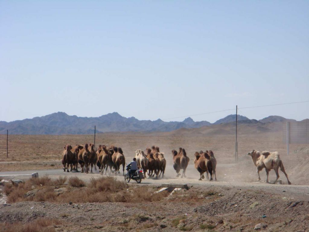 ��Ħ�з�����