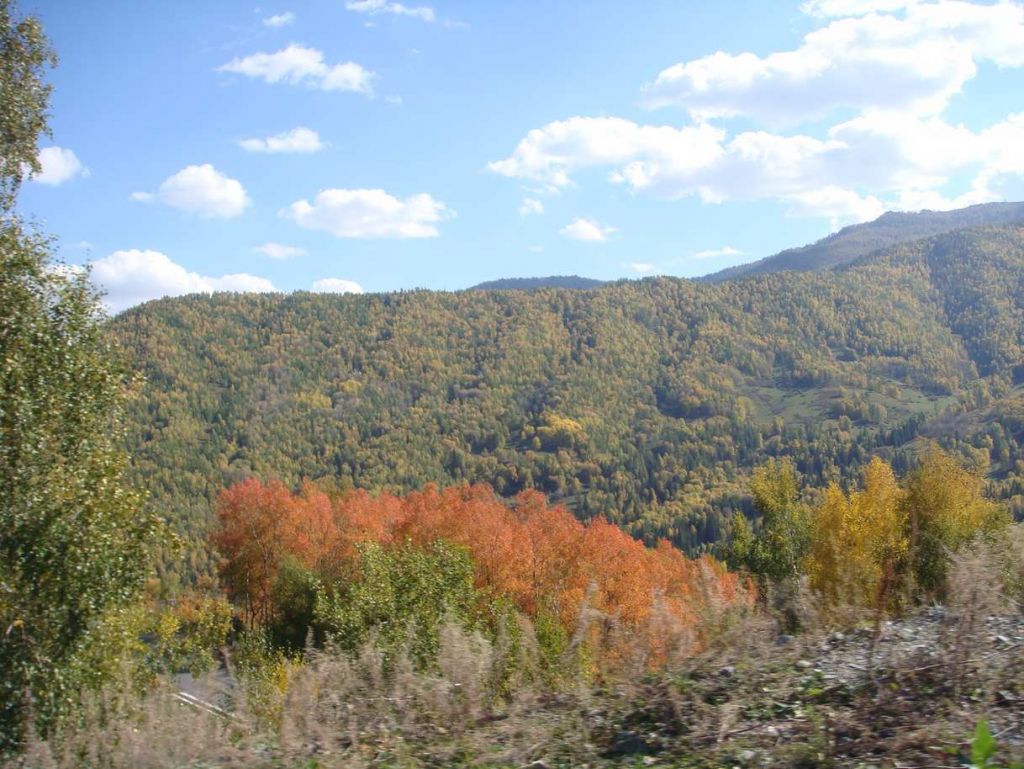 DSC00104.jpg
