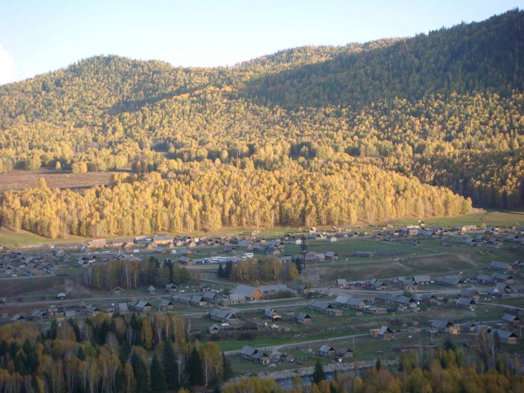 ��ľ������