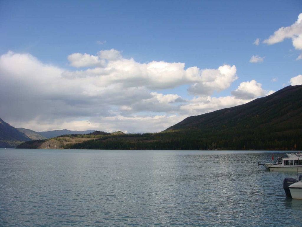 DSC00231.jpg
