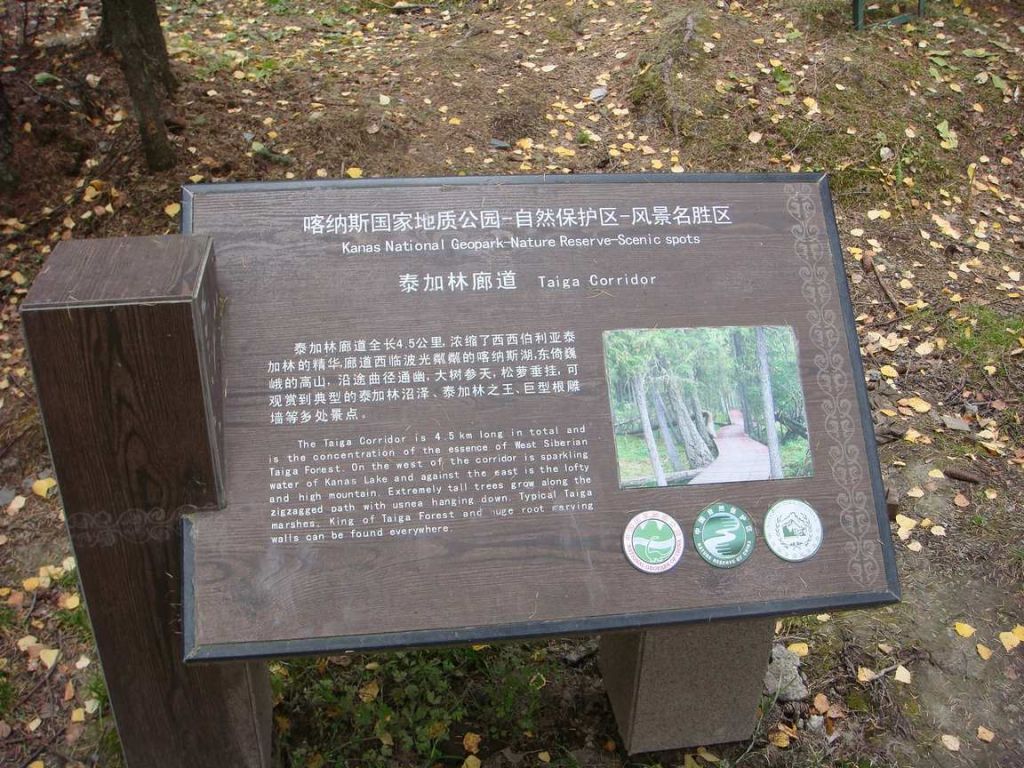 DSC00362.jpg