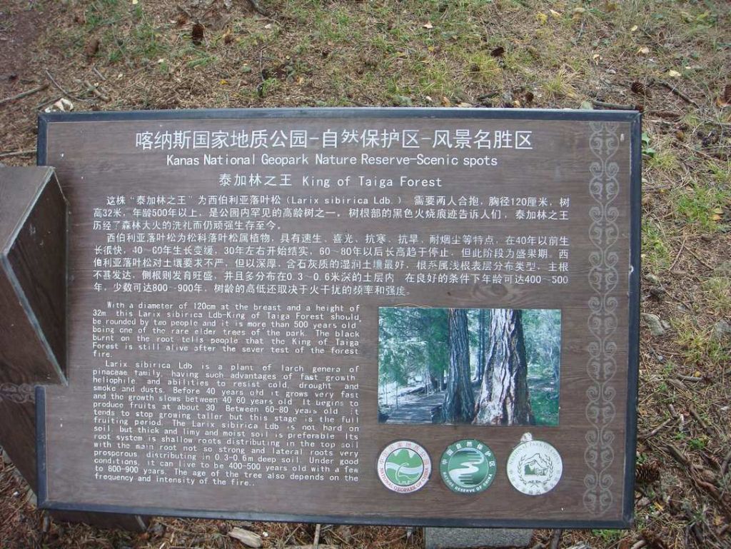 DSC00309.jpg