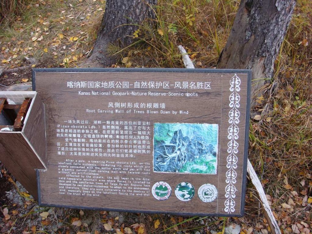 DSC00311.jpg