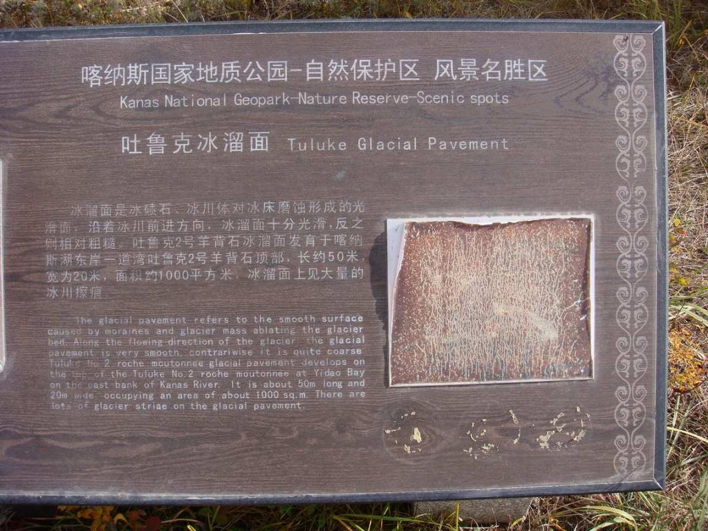 DSC00345.jpg