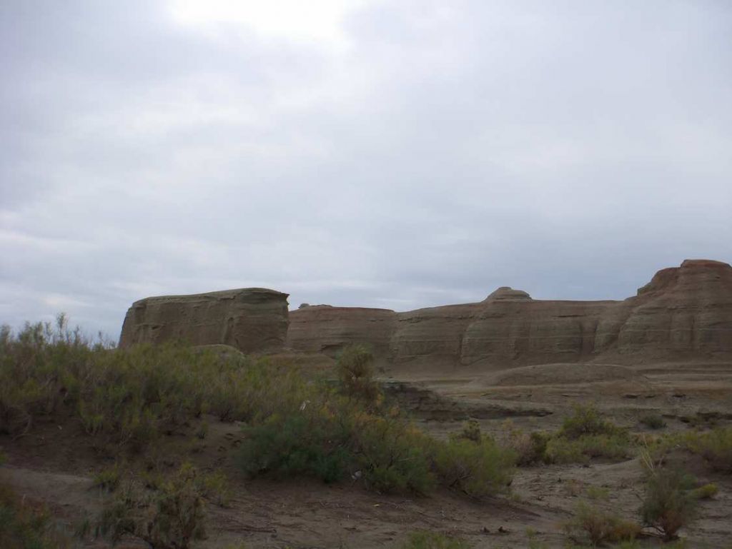 DSC00543.jpg