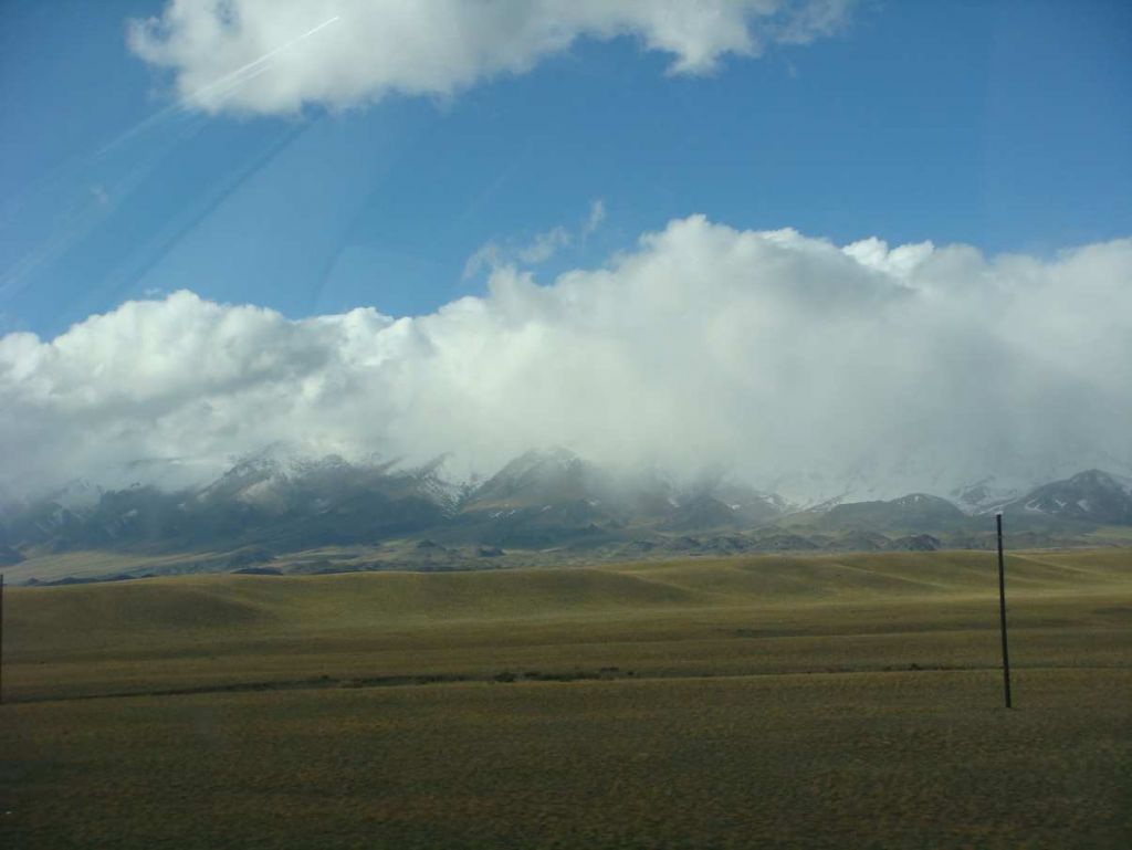 DSC00714.jpg