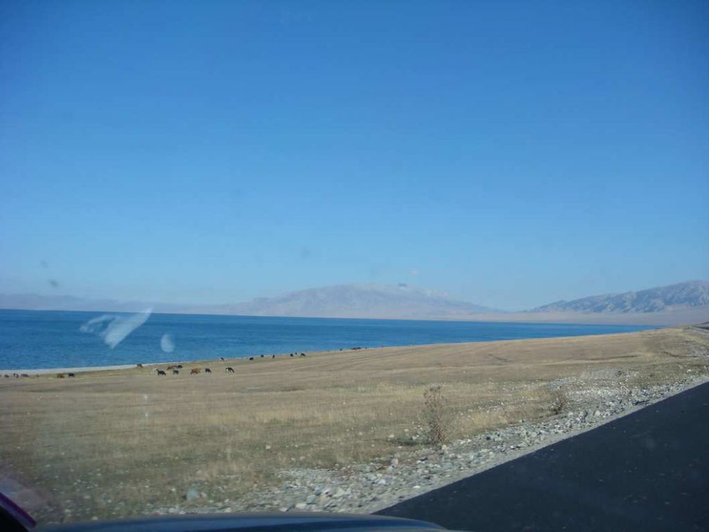 DSC00925.jpg