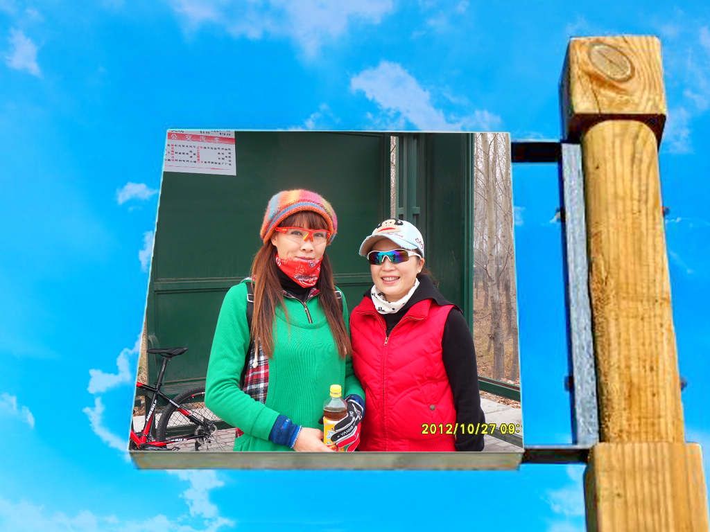 SDC12871.jpg