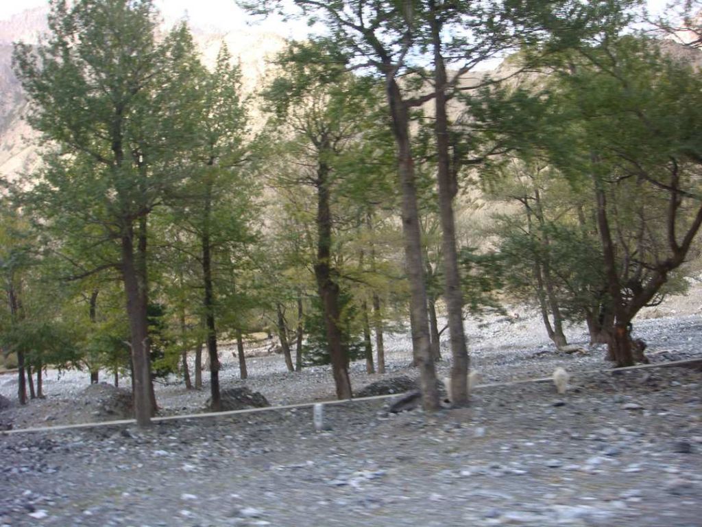 DSC01097.jpg