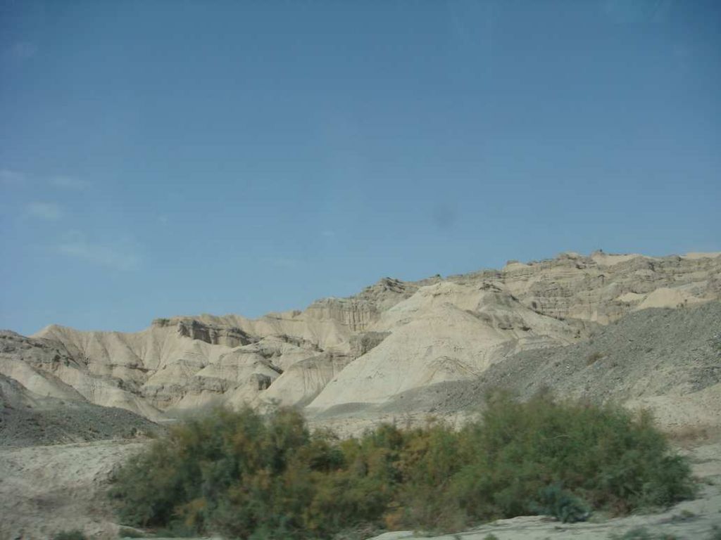 DSC01311.jpg