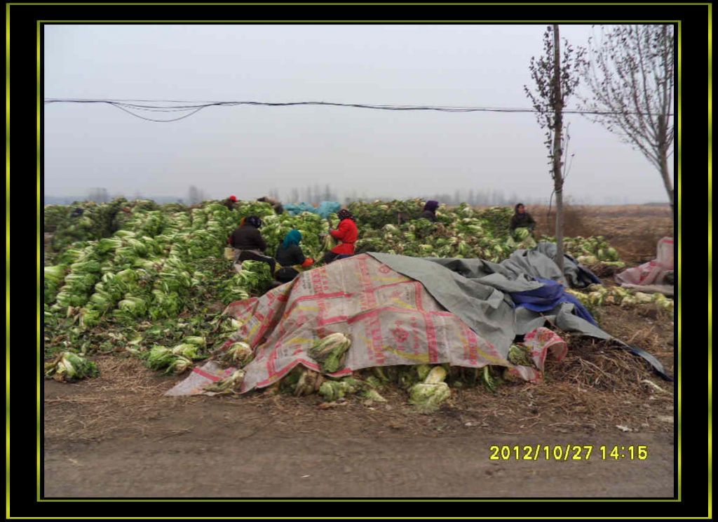 SDC13125.jpg