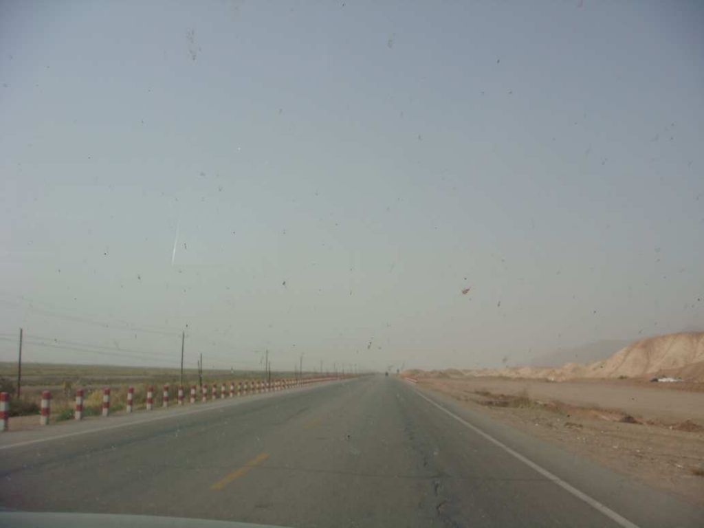 DSC01357.jpg