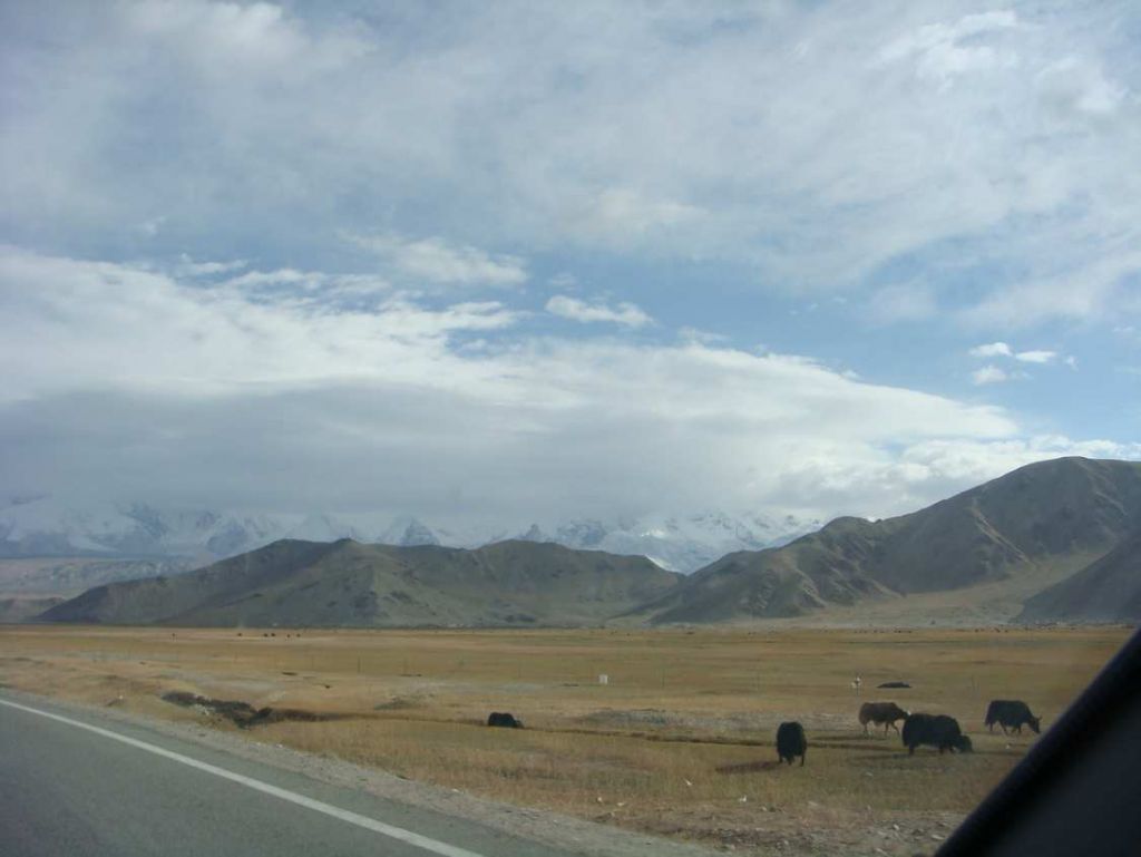 DSC01733.jpg