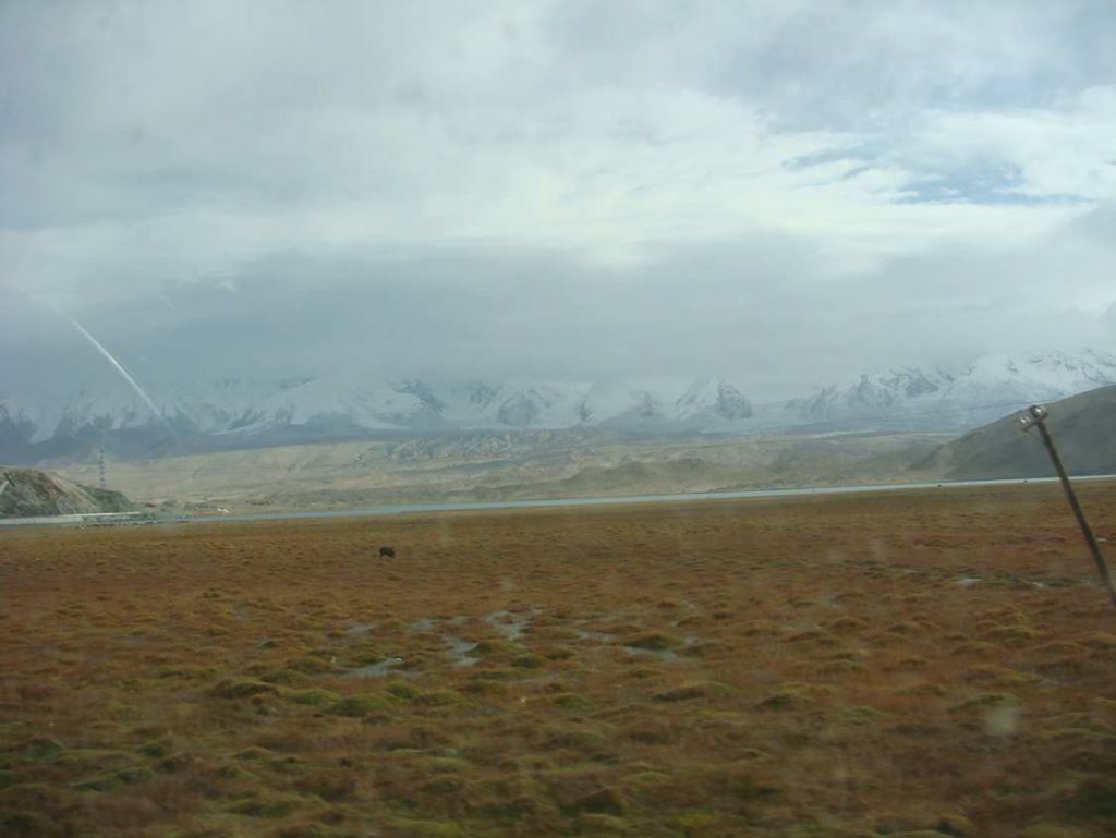 DSC01737.jpg