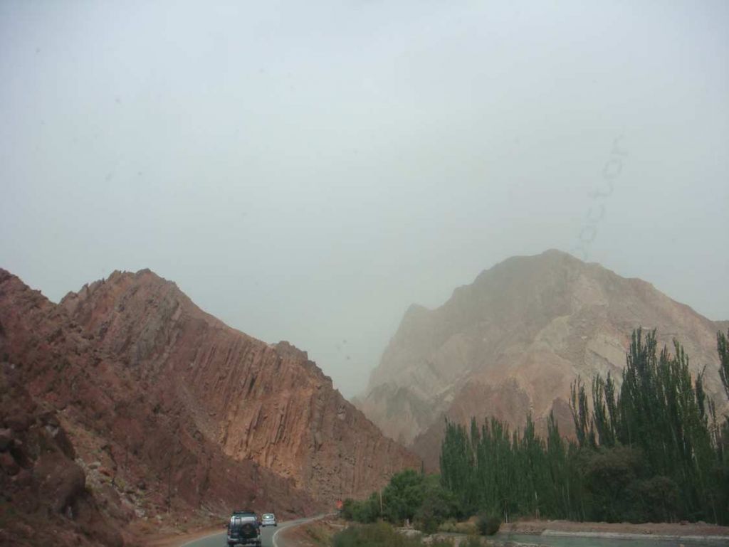 DSC01823.jpg