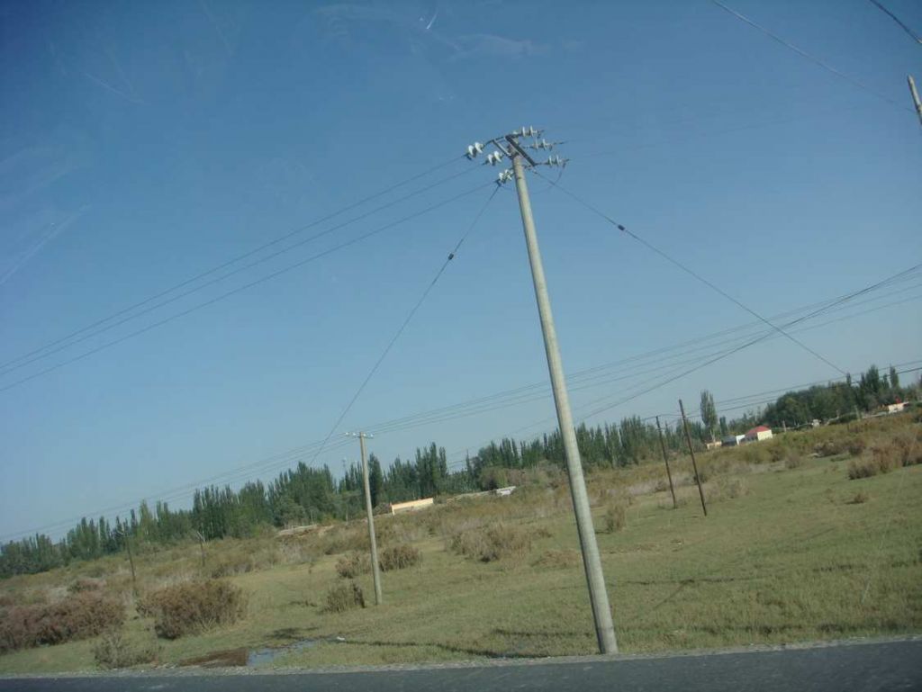 DSC01972.jpg