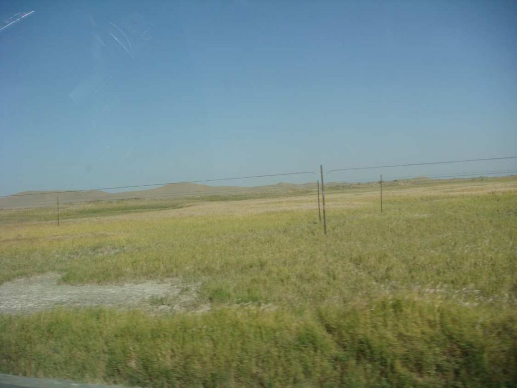 DSC01974.jpg