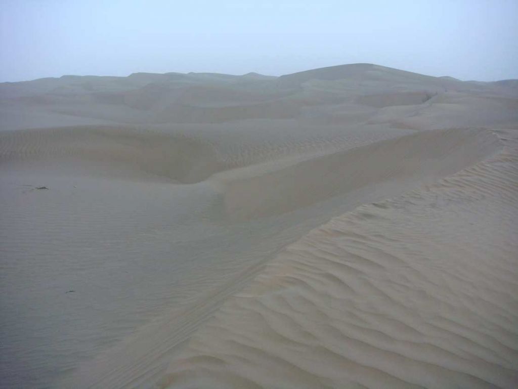 DSC02055.jpg