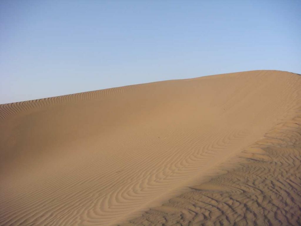 DSC02013.jpg