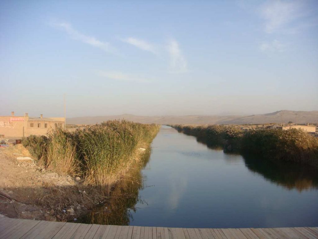 DSC02264.jpg