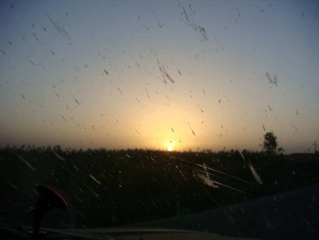 DSC02272.jpg