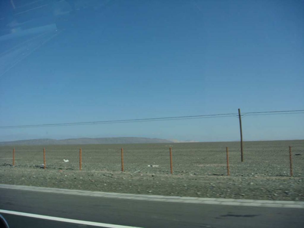DSC02427.jpg