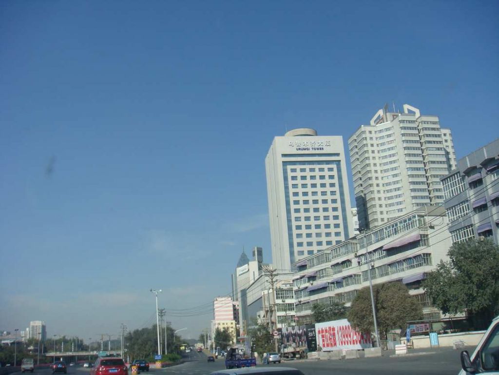 DSC02453.jpg