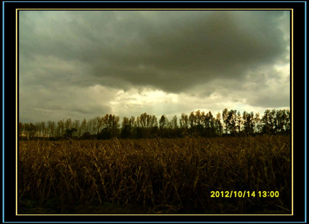 SDC12942.jpg