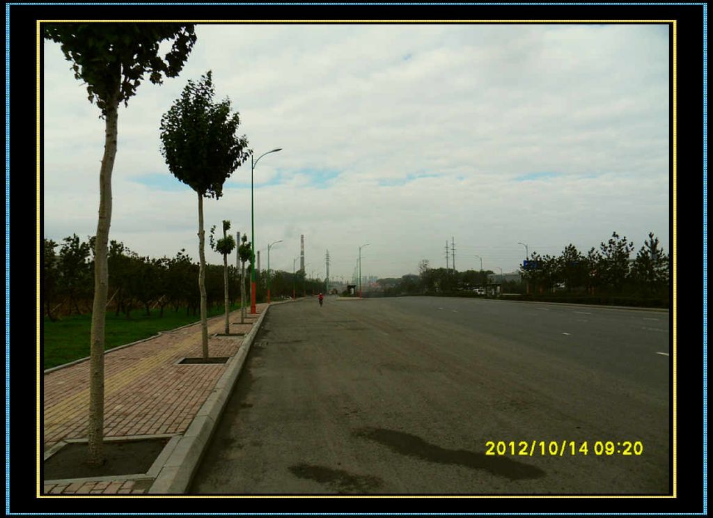 SDC12847.jpg