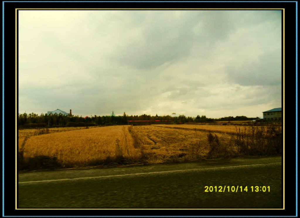 SDC12943.jpg