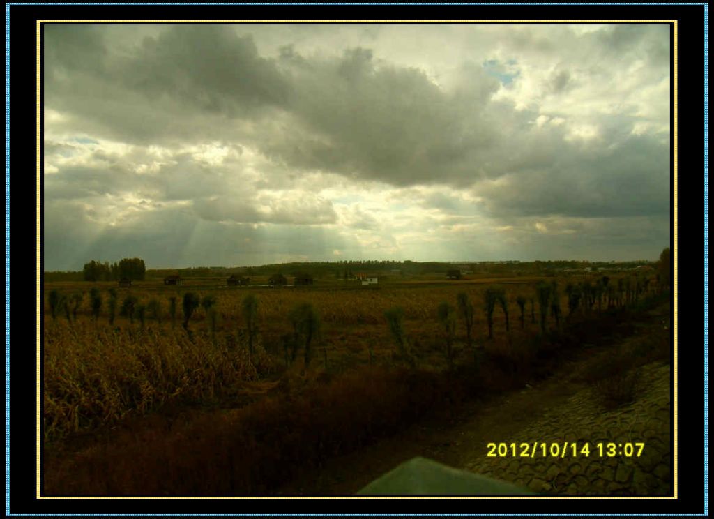 SDC12966.jpg