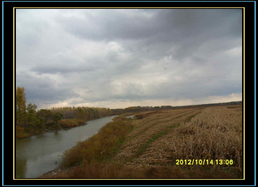 SDC12960.jpg