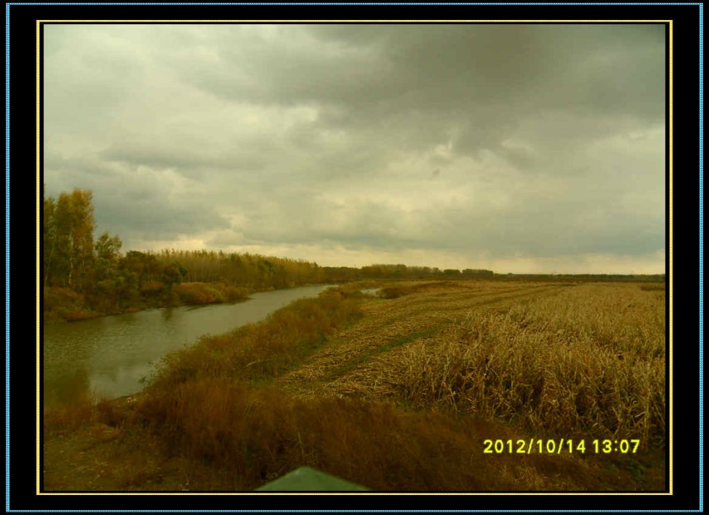 SDC12969.jpg
