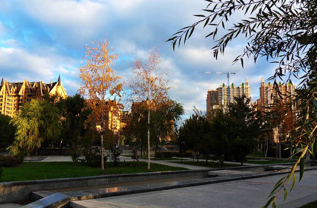 SDC13188.jpg