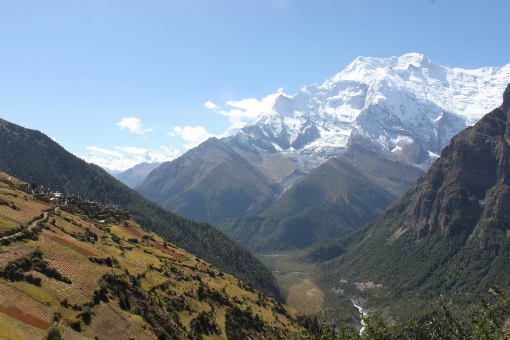 ������С IMG_2392.JPG