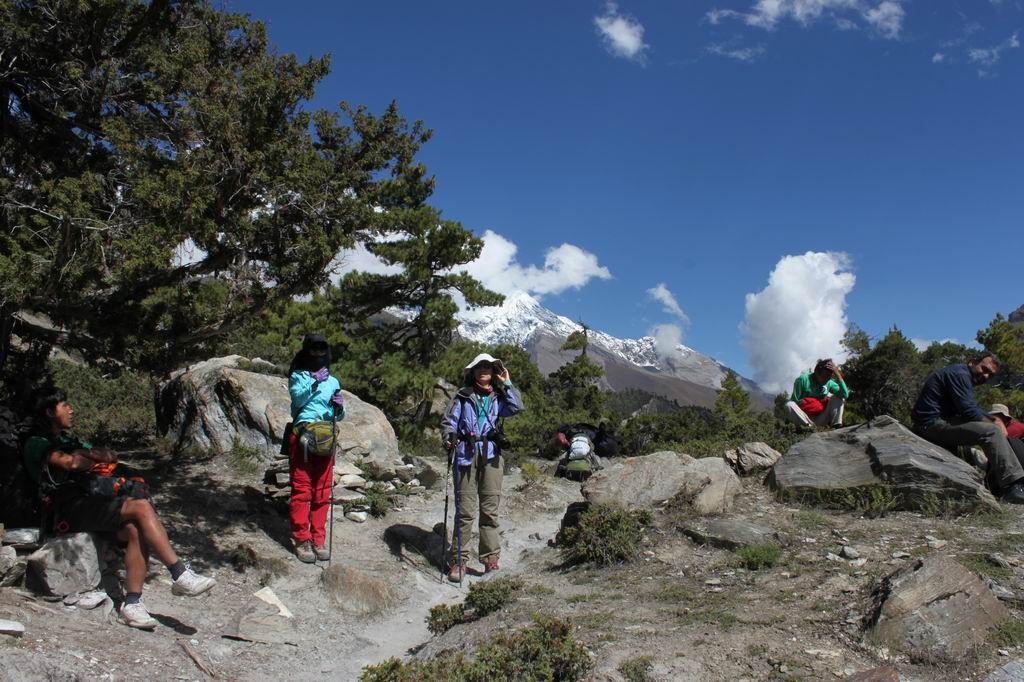 ������С IMG_2499.JPG