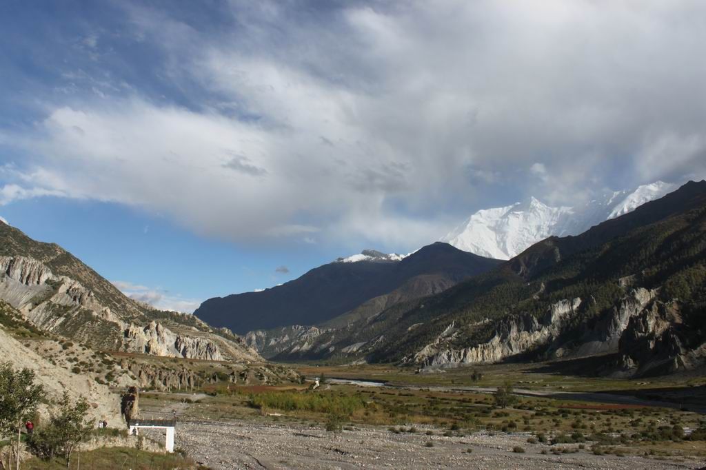 ������С IMG_2525.JPG