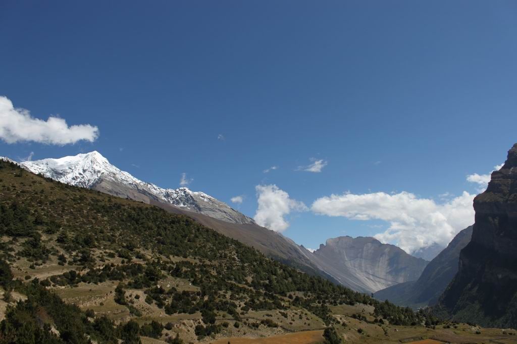 ������С IMG_2452.JPG