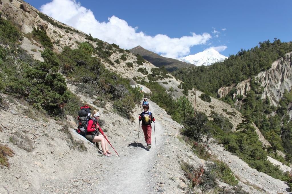 ������С IMG_2479.JPG