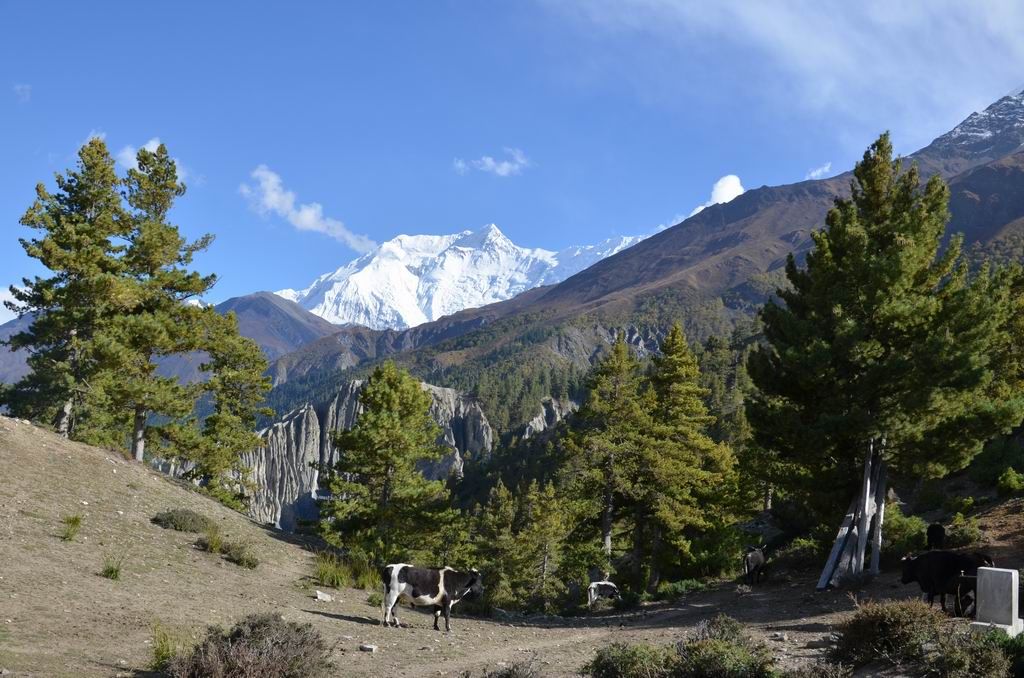 ������С DSC_7715.JPG