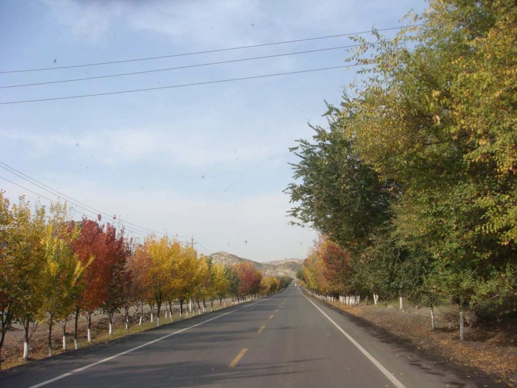 DSC02713.jpg